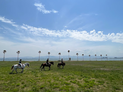 ココペリ ウエスタンライディング 海の中道海浜公園, 福岡