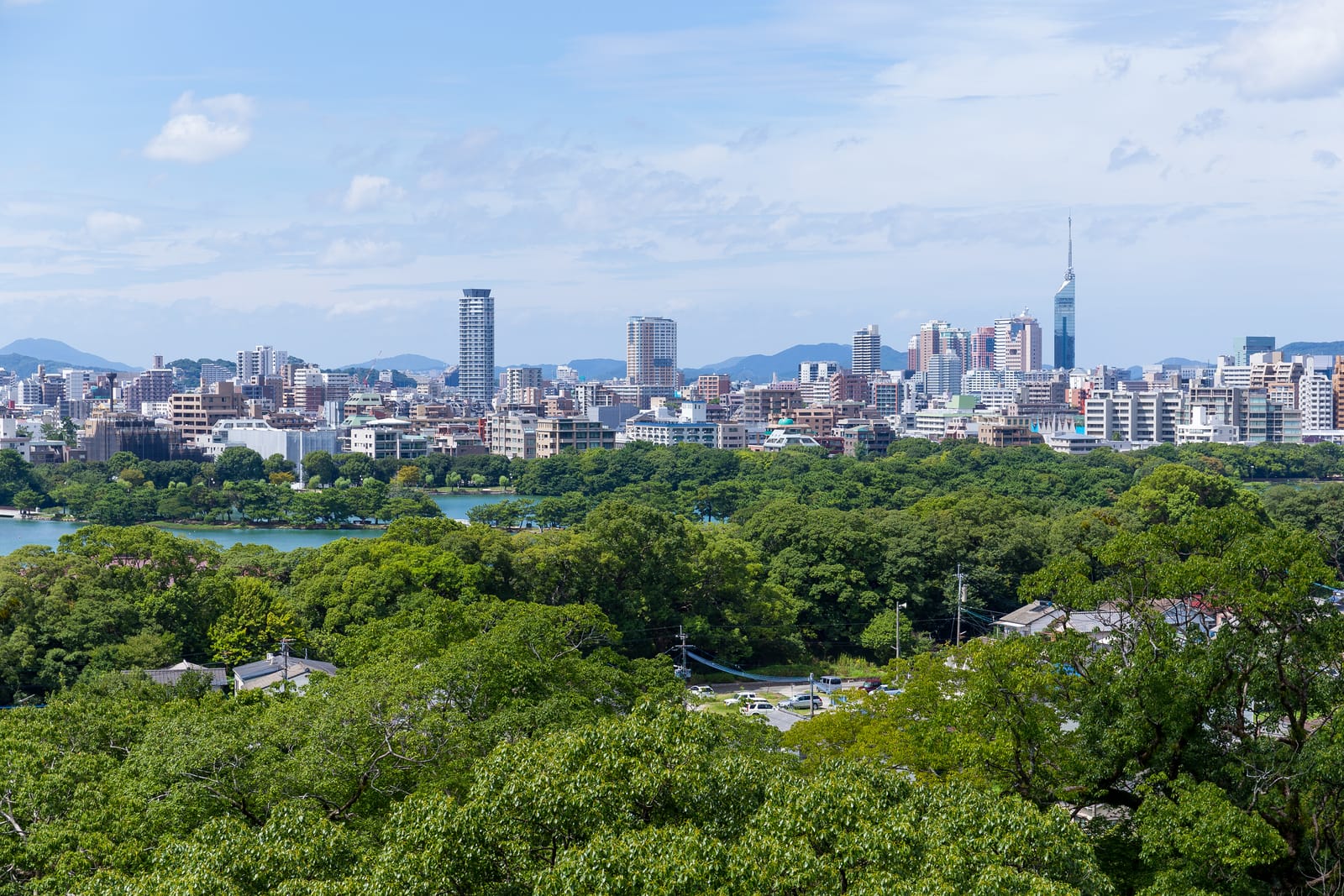 緑の公園越しに広がる福岡市街と福岡タワー