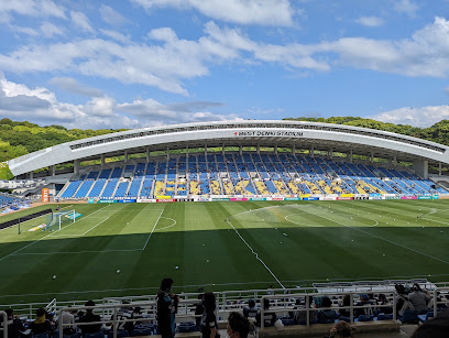 ベスト電器スタジアム, 福岡