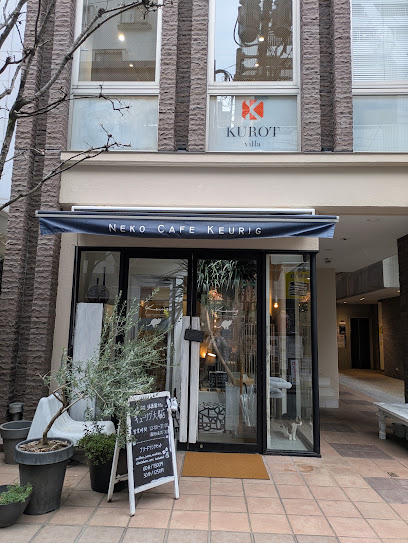 猫カフェ キューリグ大名店, 福岡