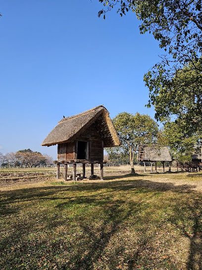 平塚川添遺跡, 福岡