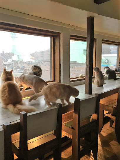 猫カフェ 美猫, 福岡