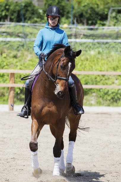Dressageプラスオール福岡