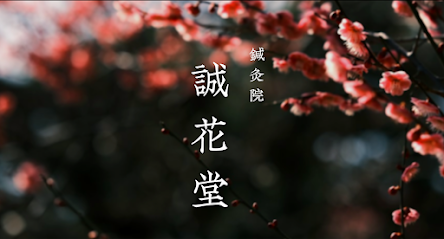 鍼灸院 誠花堂, 福岡