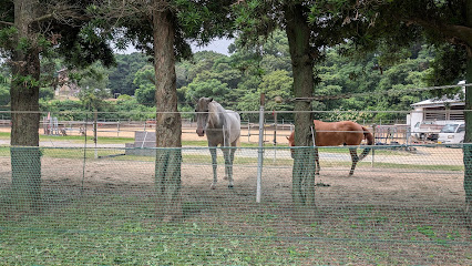 SR Showhorse Stable, 福岡