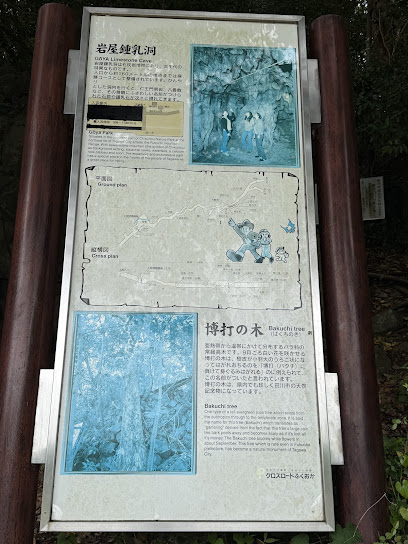 岩屋鍾乳洞, 福岡