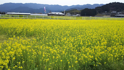 福岡県馬術競技場