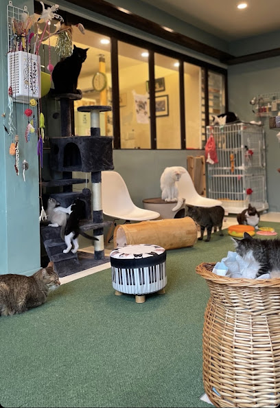 challengedcats home MOCA, 福岡