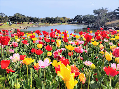 国営海の中道海浜公園, 福岡