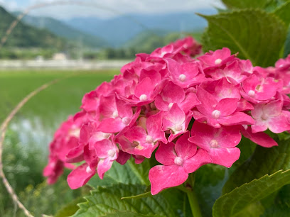 回生病院, 福岡