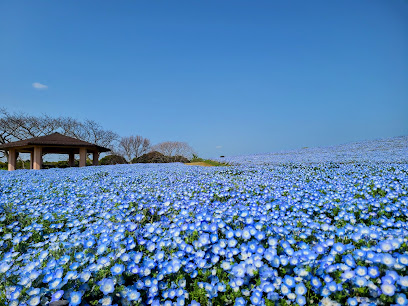 フラワーミュージアム（海の中道海浜公園）, 福岡