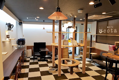 猫カフェcota, 福岡