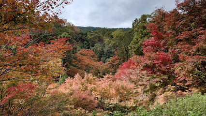 油山市民の森, 福岡