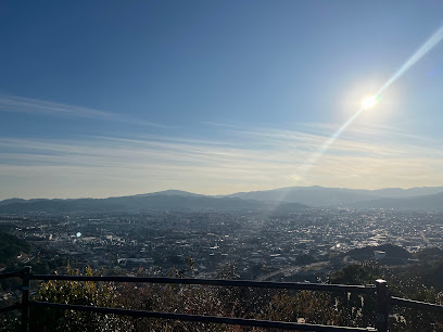 井野山, 福岡