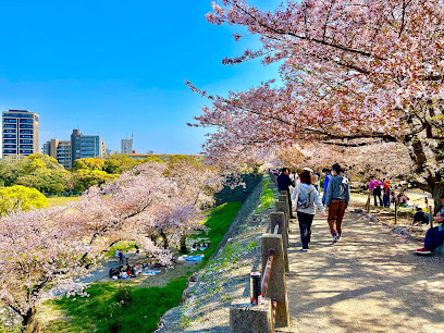 舞鶴公園, 福岡