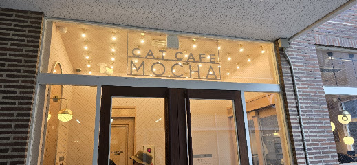 猫カフェMOCHA（モカ）天神大名店, 福岡